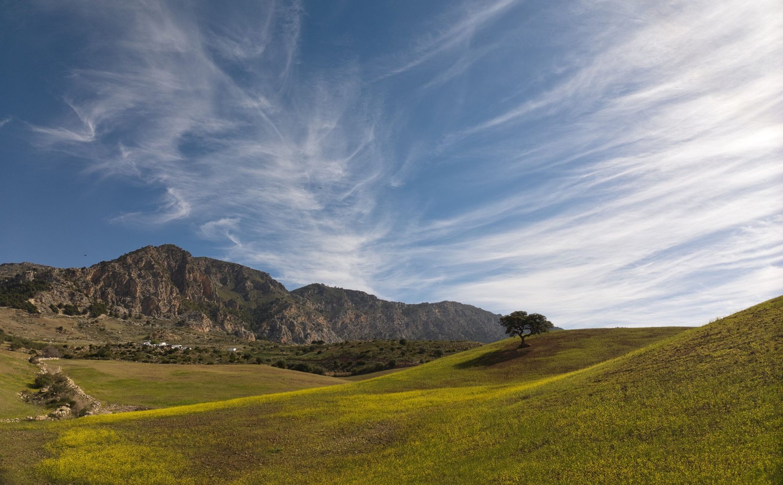Hills and farmland in the province of Málaga